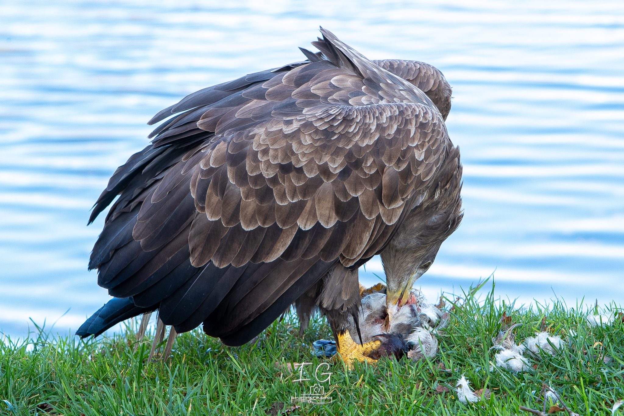 1DX44416 21 november 2021 1422 47